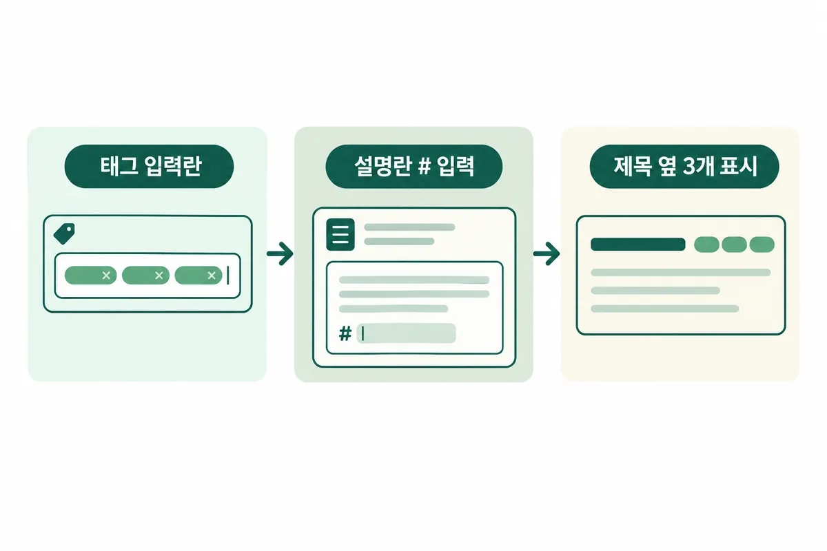 태그는 태그 입력란에, 해시태그는 제목/설명란에 들어간다는 입력 위치 구조 도식